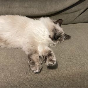 Meet your Posher, Kristeen